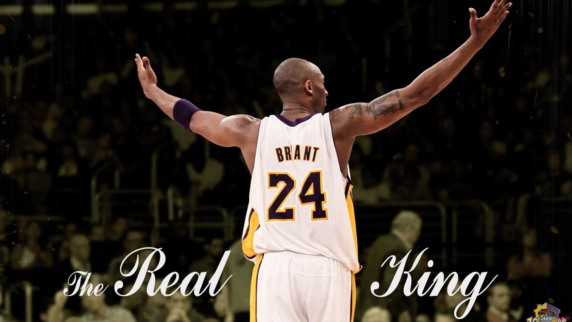 星空体育官网下载-奇才引进新主帅战术期望回升，奇才主力队员