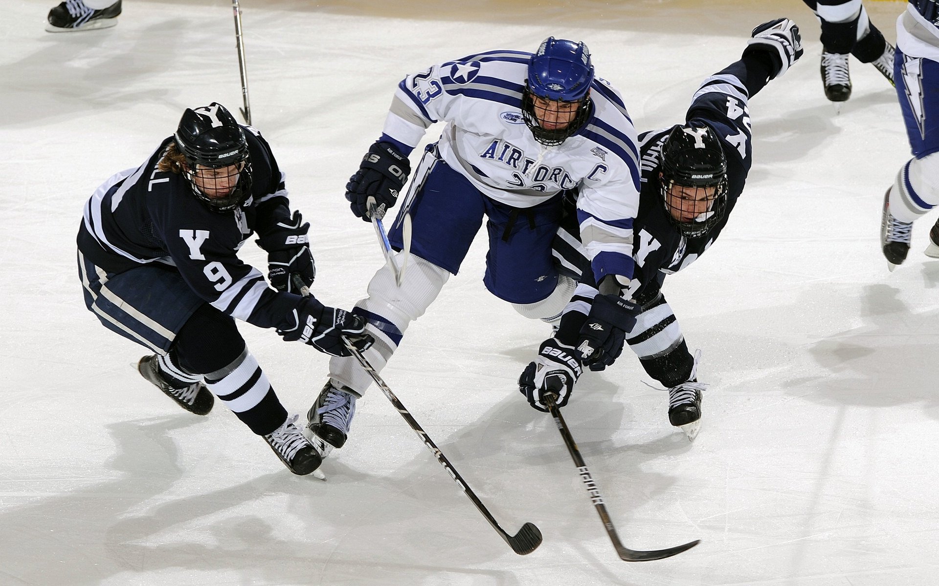 星空入口官网-水球比赛比利时战术多变，比利时大球什么意思